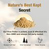 Samsara Herbs Pine Pollen Powder Wild Harvested