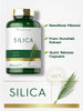 Carlyle Silica Supplement Capsules - 200 Count