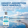 Bio Absorb Trace Mineral Drops. Heavy Metal Tested. 284 Servings of Organic