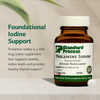 Standard Process Prolamine Iodine - Thyroid Health Supplement