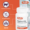 Rugby Nephro-Vite Vitamin B and C Complex Tablets - 100 Count (1 Pack)