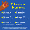 L'il Critters Gummy Vites Daily Kids Multivitamins Assorted Fruit Flavors
