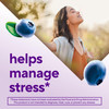 Vitafusion Ashwagandha Gummies -Clinically Shown Adaptogen Sensoril Ashwagandha