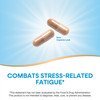 Nature's Way Fatigued to Fantastic! Adrenal Stress End, Stress-related Fatigue