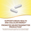Nature's Way Choline & Inositol, Supports Brain Health & Cellular Energy*, 500
