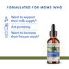 Motherlove More Milk Plus Tincture (4 oz Value Size) Fenugreek-Based Lactation