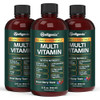 Wellgenix Balanced Essentials Liquid Multivitamin Dietary Supplement