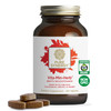 PURE SYNERGY Vita·Min·Herb for Men - Mens Comprehensive Multivitamin Supplement