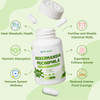 inGreens Akkermansia Muciniphila Probiotic Supplement with Chicory Inulin