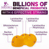 Probiotics for Digestive Health Gummies 5 Billion CFU