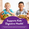 Lil Critters Probiotic Daily Gummy Supplement for Kids, for Digestive Health