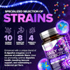 Built by Nature Probiotic for Women & Men
