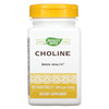 NATURE'S WAY Choline 500mg 100 Tablets