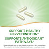 Nature's Way Alpha Lipoic Acid, Supports Healthy Nerve Function & Antioxidant