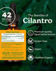 Herb Pharm Certified Organic Cilantro Extract for Cleansing and Detoxification