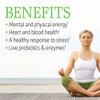 Garden of Life Vitamin B Complex, 60 Vegan Capsules, High Potency Vitamins