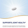 Nature's Way MSM 1000 mg - Joint Health Supplement*