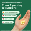 Yuve Naturals Chewable Papaya Enzymes