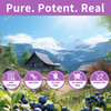 Blueberry Lutein Gummies with 120 Count