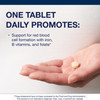 Metagenics Hemagenics Iron Supplement with B12, B6 & Folate Supports Red Blood