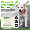 Lignans for Life - Natural Bulk Ground Flaxseed Powder