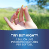 Probiotic Pearls Acidophilus Once Daily Probiotic Supplement, 1 Billion Live