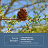 Eclectic Herb - Larix Powder - Natural Immune + Gut Health Support