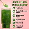 GOBIOTIX Greens Powder - Superfood with Greens and Reds