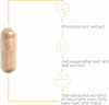 Integrative Therapeutics HPA Adapt - Adaptogenic Supplement for Stress Support*