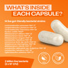 Bio-Kult Everyday Probiotics - 14 Strains - Adult Probiotic Supplement