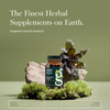 Gaia Herbs Rhodiola Rosea