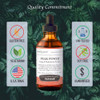 Herbalogic - Peak Power Liquid Herb Drops
