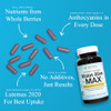 Holistic Health Labs Vision Alive Max with 8 Natural Ingredients Lutemax 2020