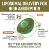 AJAXERRUE Liposomal Calcium AKG Supplement 1500 MG (Alpha-Ketoglutaric Acid)