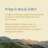 Manuka Health Royal Jelly Capsules, 1000mg NET - 365 Count (6-Month Supply)