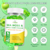 Sea Moss Gummies for Adults and Kids, 2000mg Raw Seamoss, Bladderwrack, Burdock