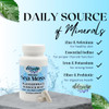 Elderwise Sea Moss Capsules - Sea Moss with Burdockroot & Bladderwrack