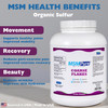 KALA HEALTH MSMPure Coarse MSM Powder Flakes