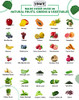 VIDAVITE Sugar-free Super Greens Gummies