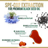 Black Seed Oil Capsules 1000mg