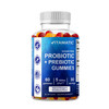Vitamatic Probiotic Sugar Free Gummies for Men and Women