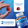 Vitamatic Probiotic Sugar Free Gummies for Men and Women