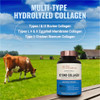 Live Conscious Beyond Collagen Multi Collagen Capsules