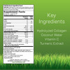 Irwin Naturals Deep Tissue Collagen-Pure - 80 Liquid Soft-Gels