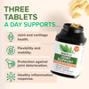 Zenwise Health Joint Support Supplement with Glucosamine Chondroitin MSM