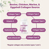 Micro Ingredients 2 Pack Multi Collagen Pills for Women & Men, 480 Capsules