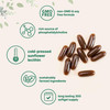 Micro Ingredients Sunflower Lecithin 1,600mg Per Serving, 300 Softgels
