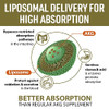 AJAXERRUE Liposomal Calcium AKG Supplement 1500 MG (Alpha-Ketoglutaric Acid)