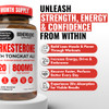 Benevolent Turkesterone with Tongkat Ali & BioPerine (Max Absorption)