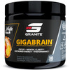 Granite Nutrition GigaBrain Nootropic Energy Powder